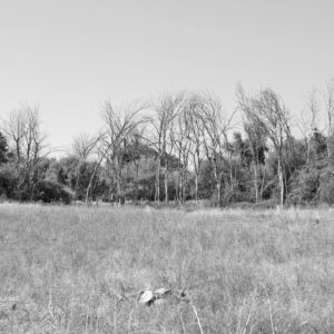 LÁMINA:BO-1302  34X49