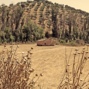 LÁMINA:BO-1304  34X49