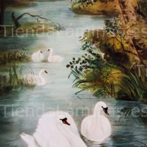 LÁMINA:CL-0019 35X60