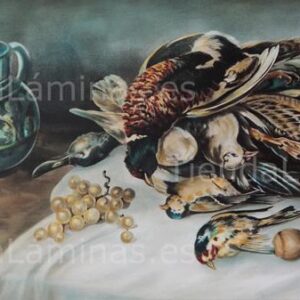 LÁMINA:CL-0550 22,5X40