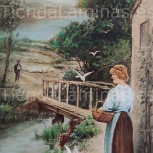 LÁMINA:CL-0554 35X60