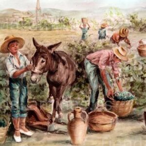 LÁMINA:CL-0557 35X60