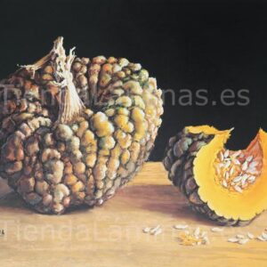 LÁMINA:BO-D007.1  34X49