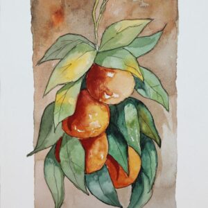 LÁMINA:BO-0008 24X34