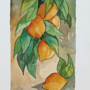 LÁMINA:BO-0009 24X34