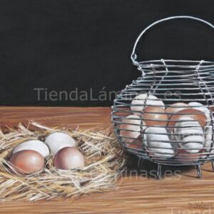 LÁMINA:BO-F044.3  24X30