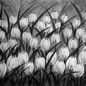 LÁMINA:F2-00511BN 40X48