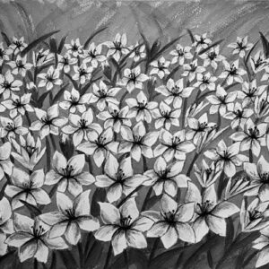 LÁMINA:F2-00512BN 40X48