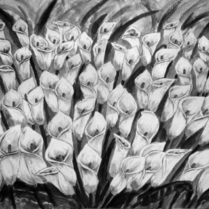 LÁMINA:F2-00513BN 40X48