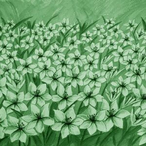 LÁMINA:F2-00512VE 40X48