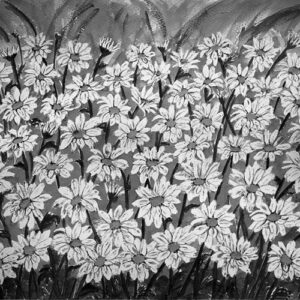 LÁMINA:F2-00514BN 40X48