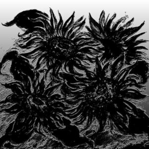 LÁMINA:F2-00515BN 45X45