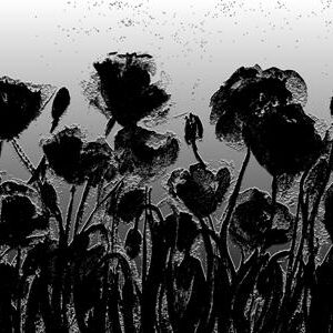 LÁMINA:F2-00537BN 30X60