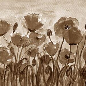 LÁMINA:F2-00537SE 30X60