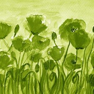 LÁMINA:F2-00537VE 30X60