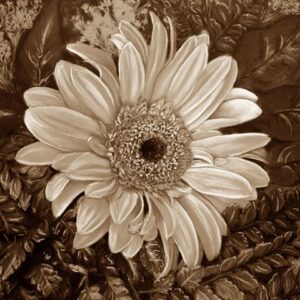 LÁMINA:F2-00545SE 40X50