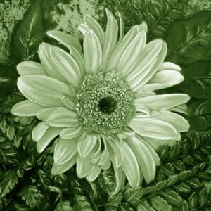 LÁMINA:F2-00545VE 40X50