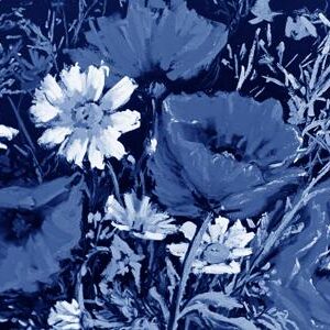 LÁMINA:F2-00558AZ 30X60