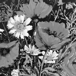 LÁMINA:F2-00558BN  30X60