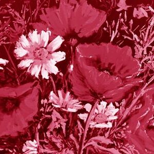 LÁMINA:F2-00558MA  30X60