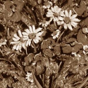 LÁMINA:F2-00559SE  30X60