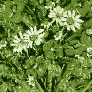 LÁMINA:F2-00559VE  30X60