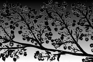 LÁMINA:F2-1264BN  30X90