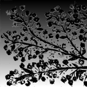 LÁMINA:F2-1264BN1  45X45