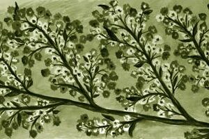 LÁMINA:F2-1264VE  30X90