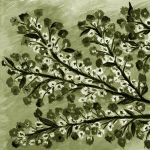 LÁMINA:F2-1264VE1  45X45