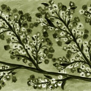 LÁMINA:F2-1264VE2  45X45