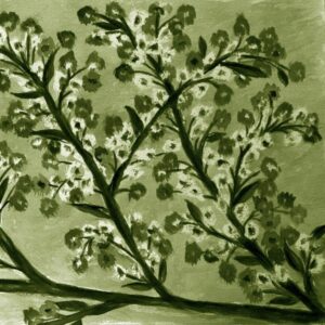 LÁMINA:F2-1264VE3  45X45