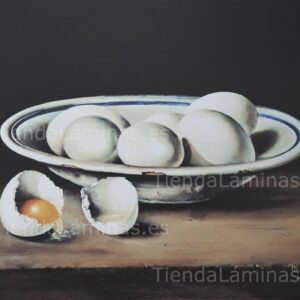 LÁMINA:BO-0002 24X30