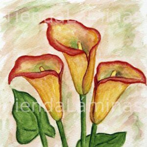 LÁMINA:F3-1105 20X20