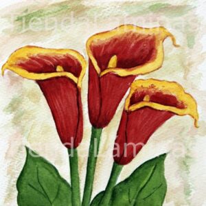 LÁMINA:F3-1107 20X20