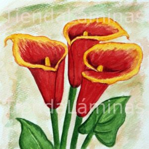 LÁMINA:F3-1108 40X40