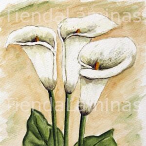 LÁMINA:F3-1109 40X40