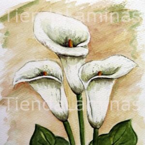 LÁMINA:F3-1110 20X20