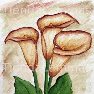 LÁMINA:F3-1112 40X40