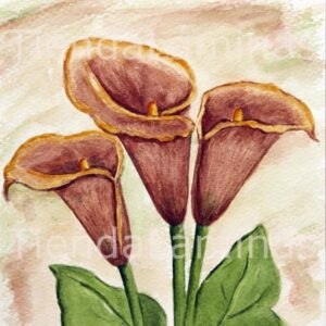 LÁMINA:F3-1114 40X40