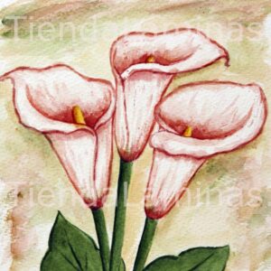 LÁMINA:F3-1115 40X40