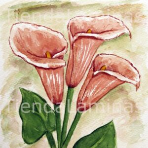 LÁMINA:F3-1118 20X20