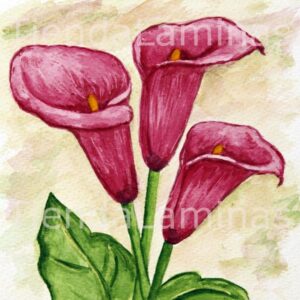 LÁMINA:F3-1119 20X20