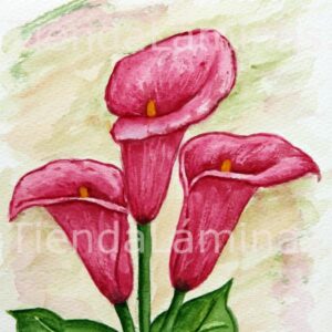 LÁMINA:F3-1120 40X40