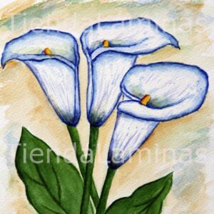 LÁMINA:F3-1121 40X40