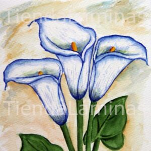 LÁMINA:F3-1122  40X40