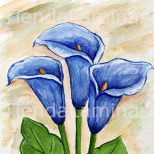 LÁMINA:F3-1123  40X40