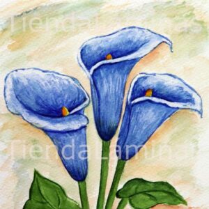 LÁMINA:F3-1124 40X40