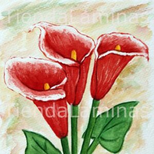 LÁMINA:F3-1127  40X40