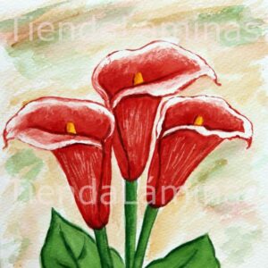 LÁMINA:F3-1128  40X40